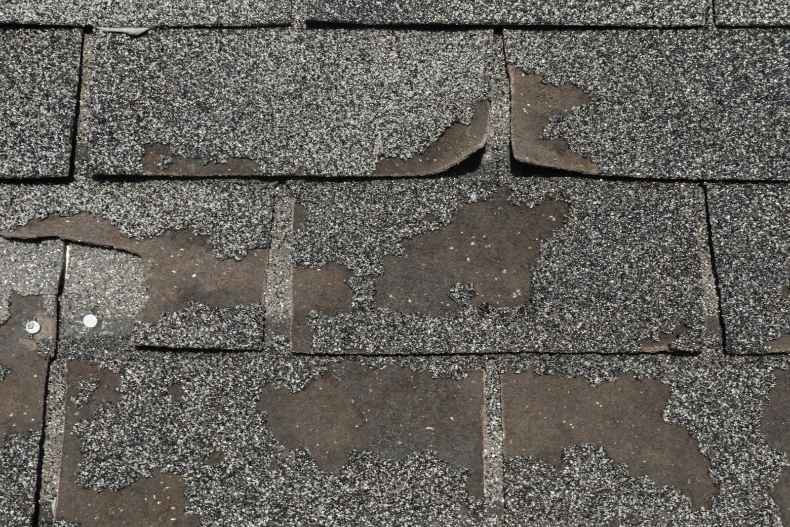 Roofs Northwest LLC Images